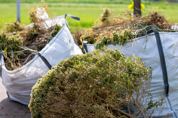 Best Yard Waste Removal  in Lawrenceburg, TN